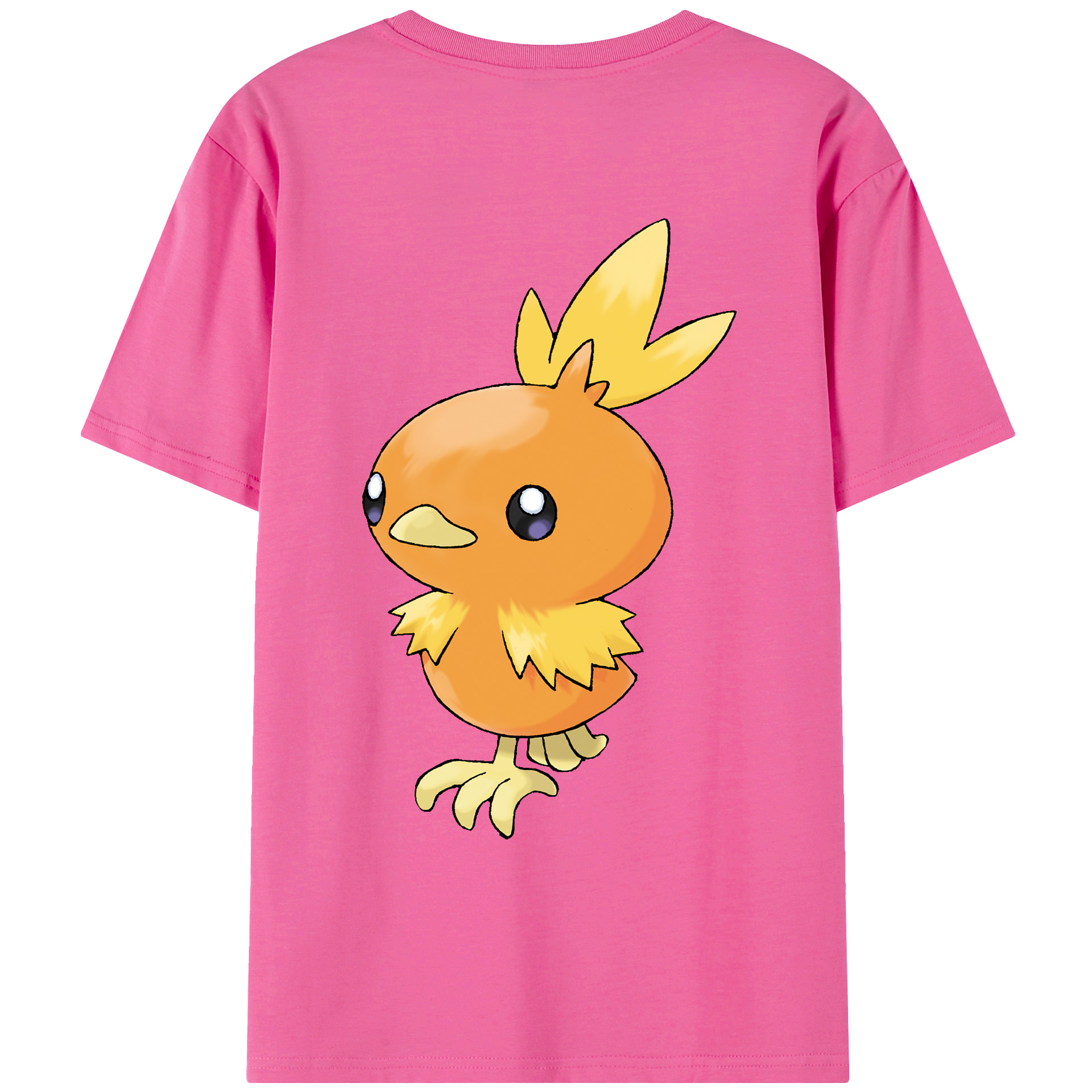 （画像用） ポケットモンスター Pokémon レディース半袖Tシャツ(バックプリント)